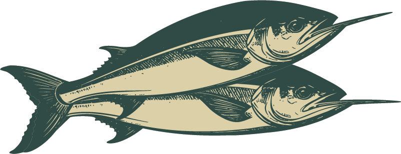 Ikan Roa