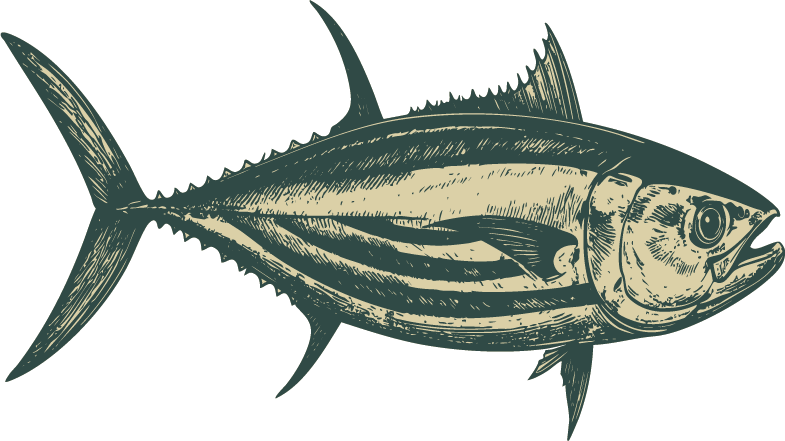 Ikan Cakalang